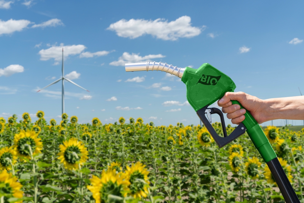 Biodiesel  
